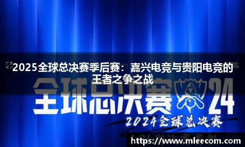 mk体育APP