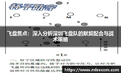 飞盘焦点：深入分析深圳飞盘队的默契配合与战术策略