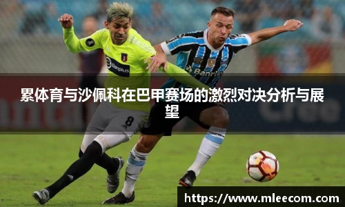 累体育与沙佩科在巴甲赛场的激烈对决分析与展望